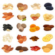 © Macrovector - Dried Fruits Nuts Realistic Set