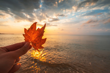 Poster - Autumn leaf and sunrise over the sea