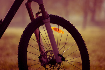 Canvas Print - Bicycle wheel  in the autumn forest.