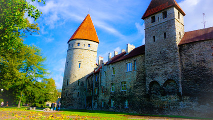 Wall Mural - Estonia old town