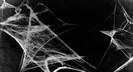 Wall Mural - Spiderwebs isolated on black grunge background. Cobweb in the corner.  Halloween party. Gothic style. Halloween decoration. Copy space