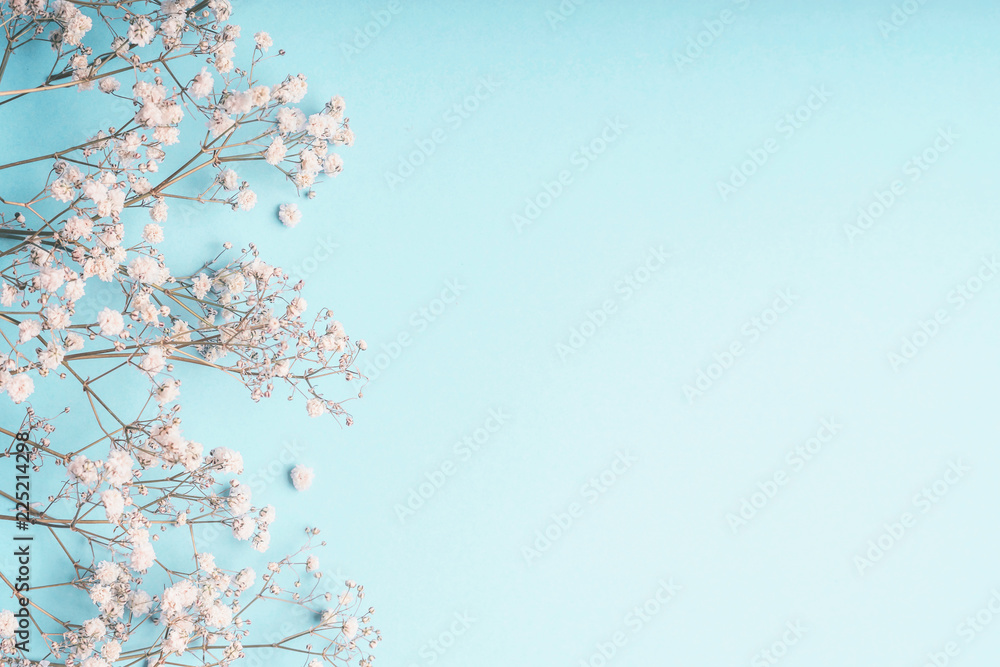 Light blue floral background with white Gypsophila flowers and copy space for your design. Baby's-breath flowers on pastel blue desktop. - obrazy, fototapety, plakaty 