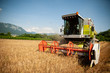 © Samo Trebizan - combine harvesting grain  on a hot summer afternoon - agriculture .