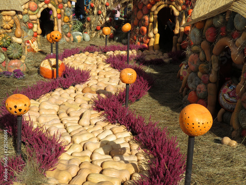 Yellow Brick Road In The Oz Country Made From Pumpkins And Flowers