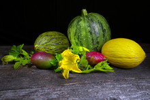 Melon,pumpkin, Fresh, Healthy Diet.On A Dark Background