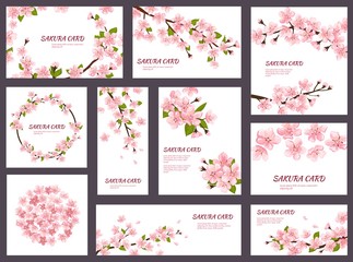 sakura vector blossom cherry greeting cards with spring pink blooming flowers illustration japanese 