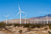 Wind Farm In The California Desert 