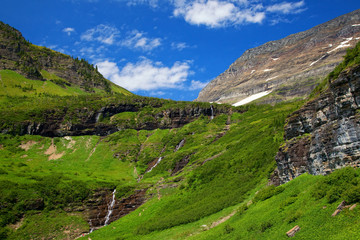 Wall Mural - Green grass and waterfalls along the Going to the Sun Road in Glacier National Park, Montana, USA