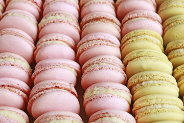 Sticker - French macaroons cakes