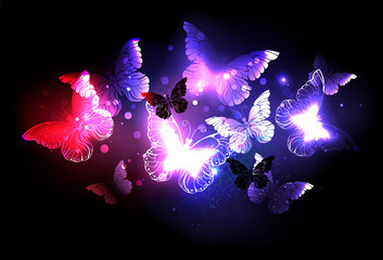 Wall Mural - Swarm of night butterflies