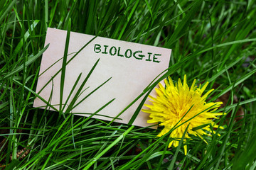 Poster - Biologie