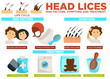 Head lice risk factors symptoms and treatment poster vector