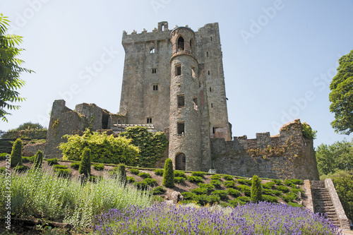 Zdjęcie XXL Ogród zamku Blarney
