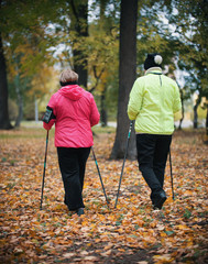 Wall Mural - Two elderly women are involved in Scandinavian walking in the park in off-road in the middle of the trees. Back view