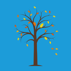 Wall Mural - autumn tree with yellow and orange fallen leaves on a blue background