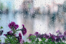 Rain Drops On Wet Window And Street Purple Flowers Behind, Blurred City Bokeh. Concept Of Rainy Weather, Seasons, Modern City. Copy Space, Abstract Background