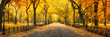 Herbst Panorama im Central Park in New York City, USA