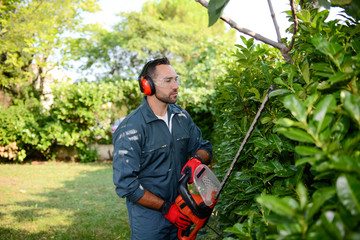 handsome young man gardener trimming hedgerow in a garden park outdoor