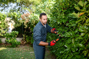 handsome young man gardener trimming hedgerow in a garden park outdoor