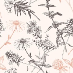 Wall Mural - Vector hand drawn meadow flowers seamless pattern