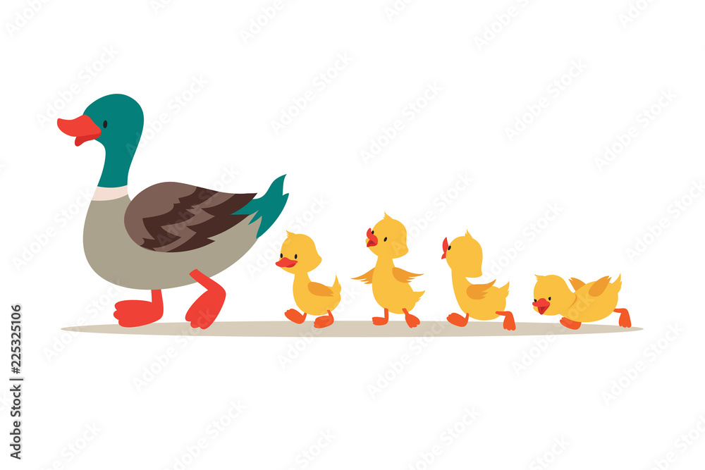 Mother Duck And Ducklings Cute Baby Ducks Walking In Row Cartoon Vector