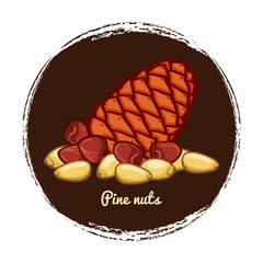 Wall Mural - Pine cone with nuts. Hand sketched pine nuts badge vector illustration isolated on white background