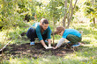 © ulza - Mother and son planting tree in a garden..