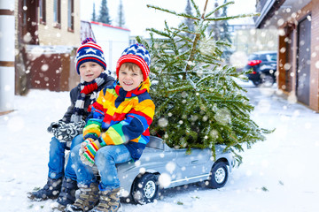 Wall Mural - Two little kid boys driving toy car with Christmas tree