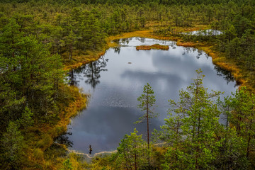 Wall Mural - Bog landscape in tallinn, town, old, estonia, europe, baltic, city, autumn, capital, view, architecture, urban, building, travel, landmark, cityscape, medieval, historic, tower, european, street, beau