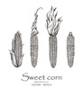 Vector illustration. Sketch drawing sweet corn. Vector chalk style objects set.