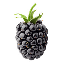 Blackberry Isolated On White Background, Clipping Path, Full Depth Of Field