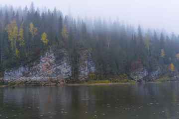 Wall Mural - Blurred landscape - gloomy mountain forest river covered with fog