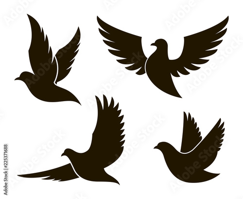 Fotografía collection of black dove silhouettes isolated on white background