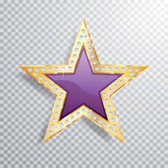 gem gold purple star