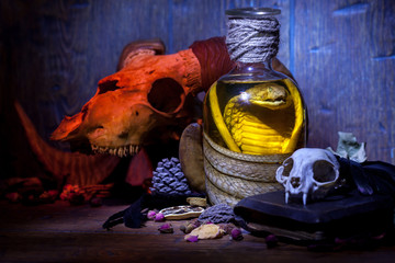 Wall Mural - Snake cobra in the bottle, cat skull, ram skull, old books, dry rose and crow quill on old wooden desk. Vintage witchcraft still life.