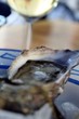 Nahaufnahme: Auster auf Eis (Fines de Claire), Delikatesse