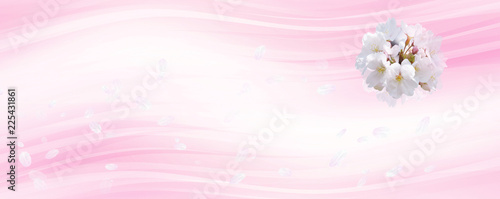 桜の背景 白と薄いピンクのイメージ Stock イラスト Adobe Stock 桜の背景 白と薄いピンクのイメージ Stock イラスト Adobe Stock