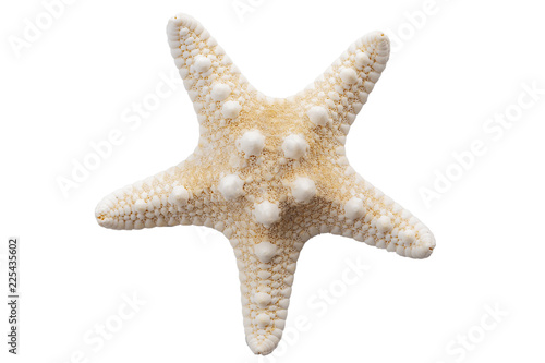 Fotografía Marine life and sea creatures concept with a starfish isolated on white backgrou