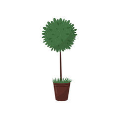 Canvas Print - Tall green plant in brown pot. Houseplant in ceramic flowerpot. Flat vector for home decor or flower shop