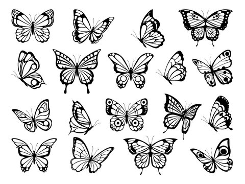 Silhouettes of butterflies. Black pictures of funny butterflies. Insect butterfly black silhouette, winged gorgeous animal, vector illustration