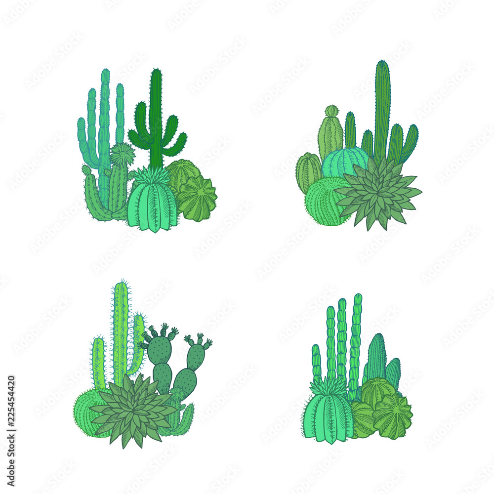 Vector hand drawn desert cacti plants piles set isolated on white ...