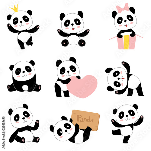 Photographie  Cute baby pandas