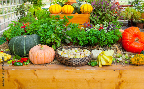 Seasonal Farmers Market Goods Display Colorful Pumpkins For