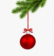 Vector Christmas decoration with pine branch isolated on transparent background.