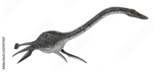 フタバスズキリュウ エラスモサウルス科の海棲爬虫類 白亜紀後期 プレシオサウルスをはじめとする首長竜 の仲間で 初めて日本出土の海棲爬虫類として学名が付いたもの 発見者は1968年当時 高校生だった鈴木直氏で 福島県いわき市の双葉層群という地層から発見した
