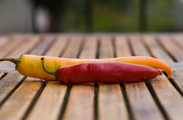 Spicy chilies peppers on wooden background. Colorful peppers on rustic wooden table. Healthy food.