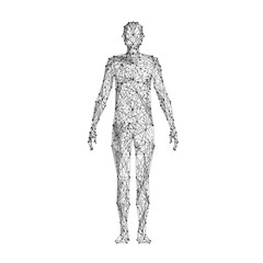 Wall Mural - Human body. Isolated black vector illustration in low-poly style on a white background. The drawing consists of thin lines and dots. Polygonal image on topics of science or medicine. Low poly EPS.