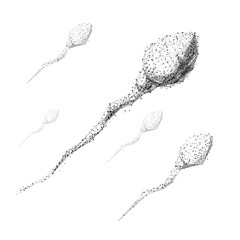 Aufkleber - Spermatozoon. Isolated black vector illustration in low-poly style on a white background. The drawing consists of thin lines and dots. Polygonal image on topics of science or health. Low poly EPS.