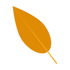 Sticker - Willow autumn leaf icon. Flat illustration of willow autumn leaf vector icon for web design