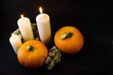 Pumpkins and mushrooms on a black background